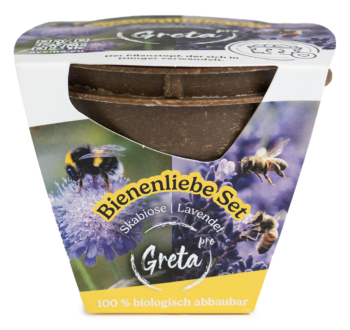 AVEMA Saat-Set Basic Green Bienenliebe